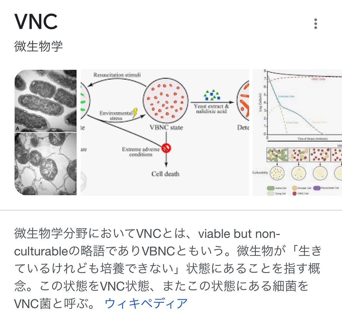 歯髄保存と接着