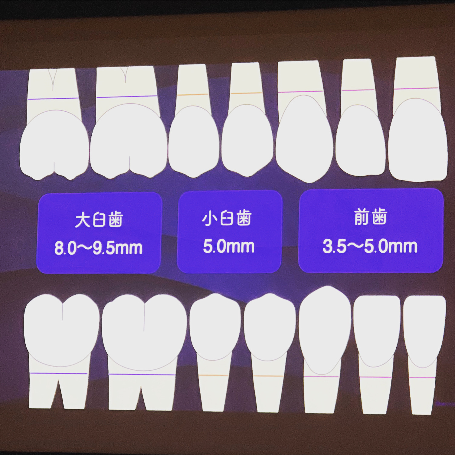 お盆もやってます